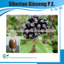 Hochwertige sibirische Ginseng Pe Ginseng Wurzel Extrakt feines Pulver